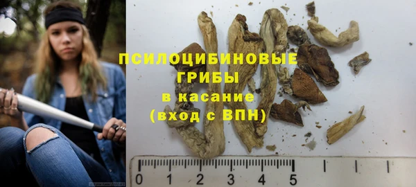 ПСИЛОЦИБИНОВЫЕ ГРИБЫ Кукмор