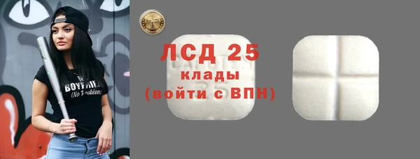 ПСИЛОЦИБИНОВЫЕ ГРИБЫ Кукмор
