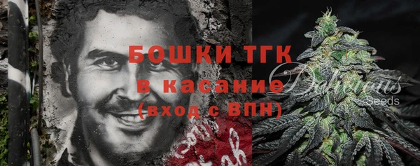 ПСИЛОЦИБИНОВЫЕ ГРИБЫ Кукмор