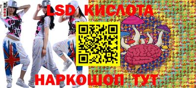 стаф Краснодар