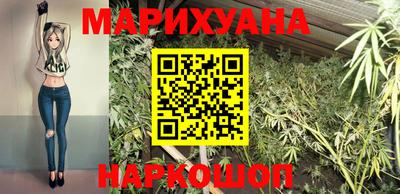 стаф Краснодар