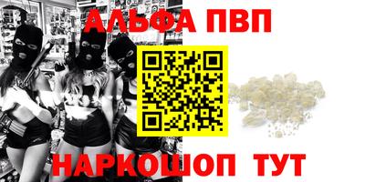 стаф Краснодар