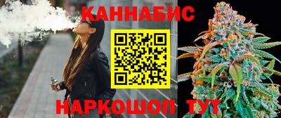 стаф Краснодар